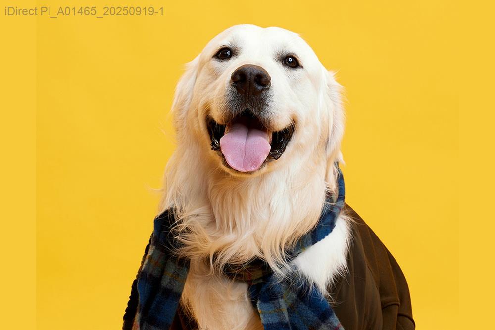 「獨家揭秘：台北市7家必訪寵物友善餐廳」